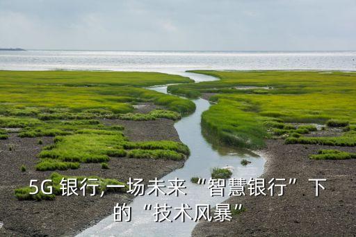 5G 銀行,一場(chǎng)未來“智慧銀行”下的“技術(shù)風(fēng)暴”