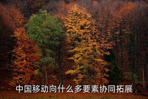 移動(dòng)通信 大數(shù)據(jù)