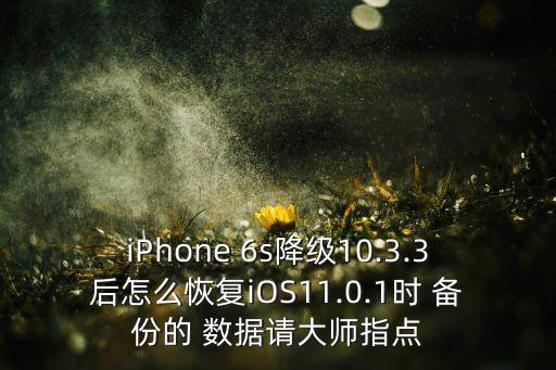 iPhone 6s降級10.3.3后怎么恢復(fù)iOS11.0.1時 備份的 數(shù)據(jù)請大師指點