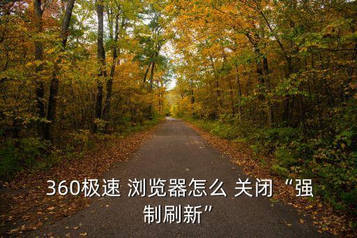 360極速 瀏覽器怎么 關(guān)閉“強(qiáng)制刷新”