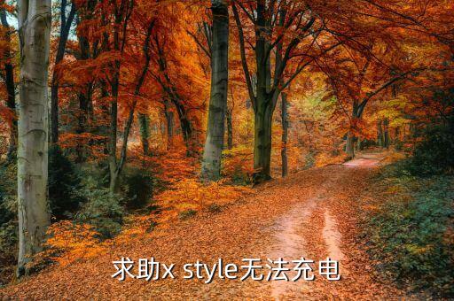 求助x style無法充電