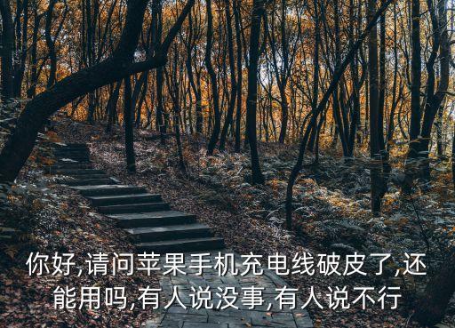 你好,請問蘋果手機充電線破皮了,還能用嗎,有人說沒事,有人說不行