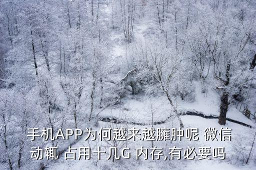 微信數(shù)據(jù)占用手機(jī)內(nèi)存,微信的數(shù)據(jù)占用30g,清除會(huì)怎么樣