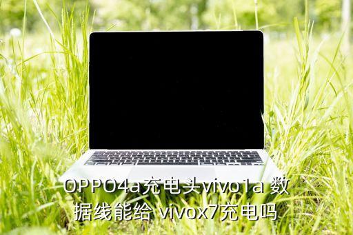 vivox7的數(shù)據(jù)線是幾a