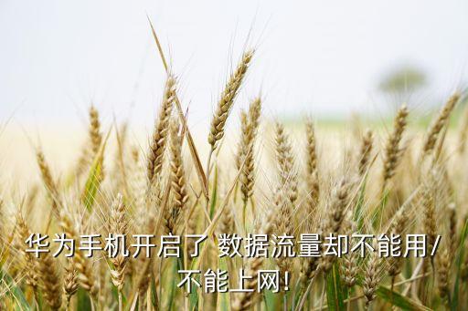 p10無法使用移動數(shù)據(jù),華為p10 沒有移動數(shù)據(jù)選項