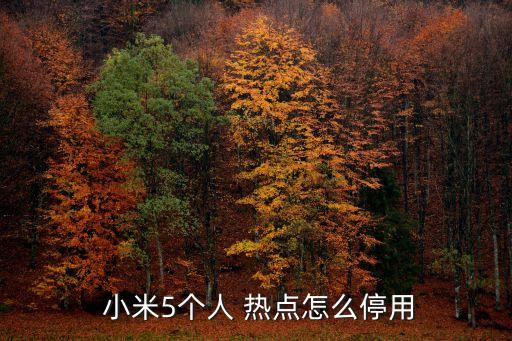  小米5個人 熱點怎么停用