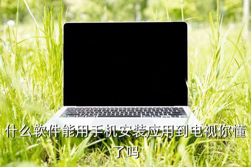 什么軟件能用手機(jī)安裝應(yīng)用到電視你懂了嗎