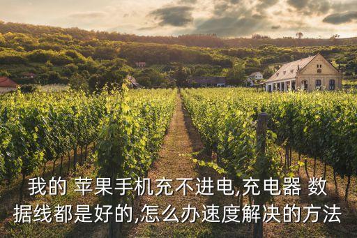 我的 蘋(píng)果手機(jī)充不進(jìn)電,充電器 數(shù)據(jù)線都是好的,怎么辦速度解決的方法