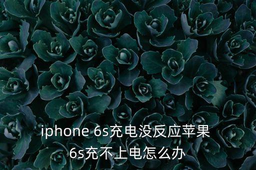 6s數(shù)據(jù)線壞了,蘋果6s數(shù)據(jù)線