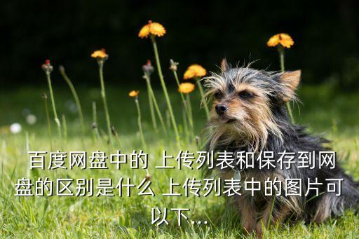  百度網(wǎng)盤中的 上傳列表和保存到網(wǎng)盤的區(qū)別是什么 上傳列表中的圖片可以下...