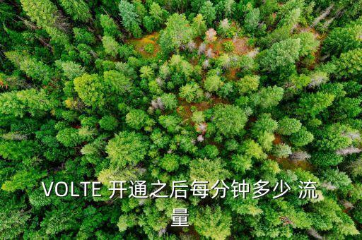 VOLTE 開(kāi)通之后每分鐘多少 流量