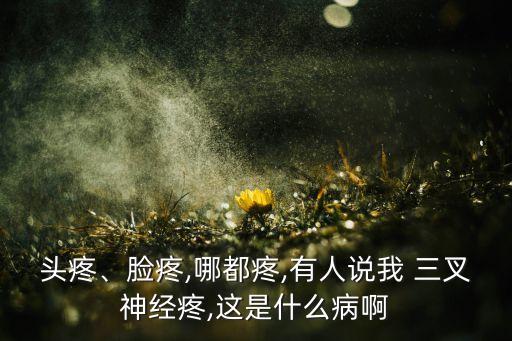 頭疼、臉疼,哪都疼,有人說我 三叉神經(jīng)疼,這是什么病啊