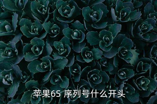  蘋果6S 序列號什么開頭