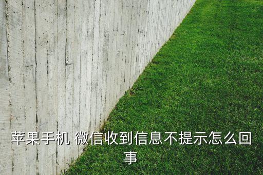 蘋果手機 微信收到信息不提示怎么回事