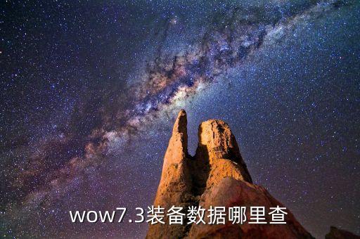 wow7.3裝備數(shù)據(jù)哪里查