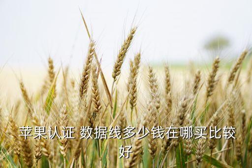 蘋(píng)果認(rèn)證 數(shù)據(jù)線多少錢(qián)在哪買(mǎi)比較好