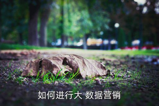 如何進行大 數(shù)據(jù)營銷