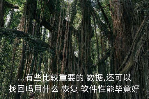 ...有些比較重要的 數(shù)據(jù),還可以找回嗎用什么 恢復(fù) 軟件性能畢竟好