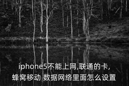 iphone5不能上網(wǎng),聯(lián)通的卡,蜂窩移動(dòng) 數(shù)據(jù)網(wǎng)絡(luò)里面怎么設(shè)置