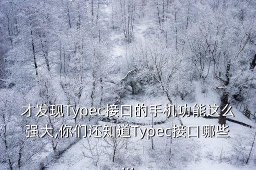 才發(fā)現(xiàn)Typec接口的手機(jī)功能這么強(qiáng)大,你們還知道Typec接口哪些...