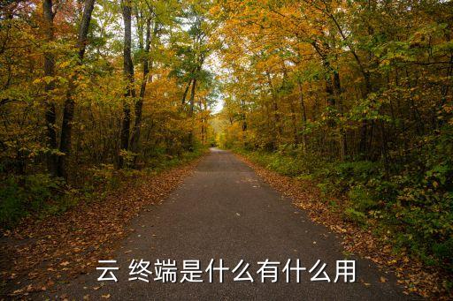 云 終端是什么有什么用