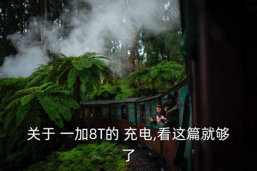 關(guān)于 一加8T的 充電,看這篇就夠了