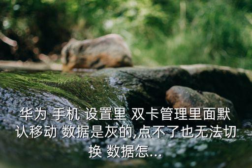 華為 手機 設(shè)置里 雙卡管理里面默認移動 數(shù)據(jù)是灰的,點不了也無法切換 數(shù)據(jù)怎...