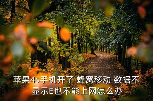 蘋果4s手機(jī)開了 蜂窩移動 數(shù)據(jù)不 顯示E也不能上網(wǎng)怎么辦