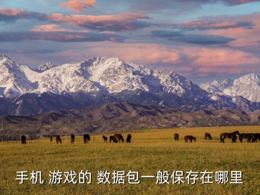 手機 游戲的 數(shù)據(jù)包一般保存在哪里