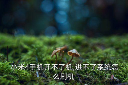  小米4手機開不了機,進不了系統(tǒng)怎么刷機