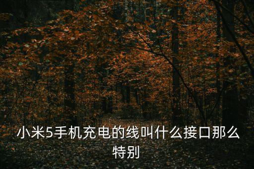  小米5手機(jī)充電的線叫什么接口那么特別