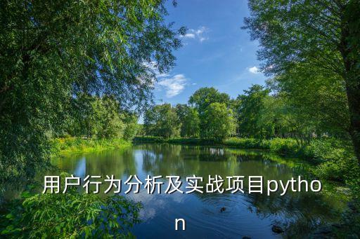用戶行為數(shù)據(jù)分析模型,某網(wǎng)站用戶行為數(shù)據(jù)分析