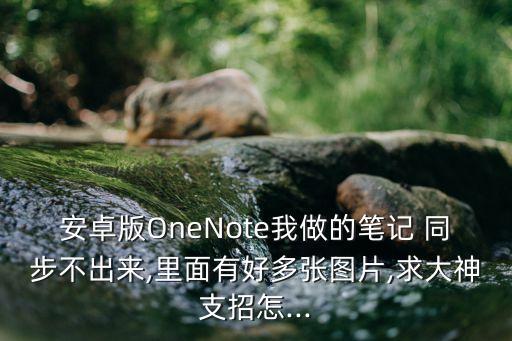 安卓版OneNote我做的筆記 同步不出來,里面有好多張圖片,求大神支招怎...