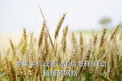 osx wifi 自動連接,回家后wifi為什么不自動連接