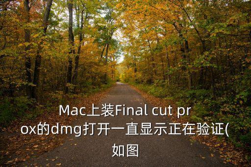 Mac上裝Final cut prox的dmg打開一直顯示正在驗(yàn)證(如圖