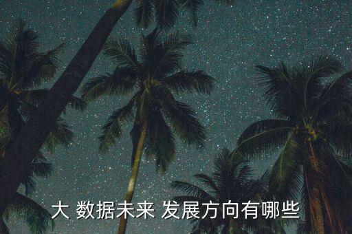 大 數(shù)據(jù)未來(lái) 發(fā)展方向有哪些