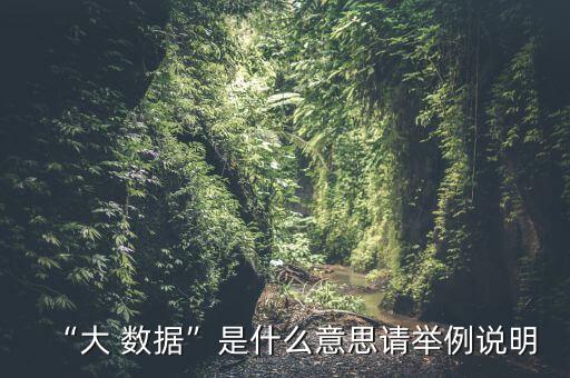 2. 大數(shù)據(jù)是什么,大數(shù)據(jù)是什么專業(yè)