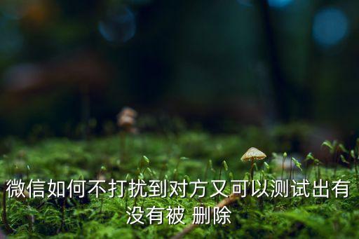 微信如何不打擾到對方又可以測試出有沒有被 刪除