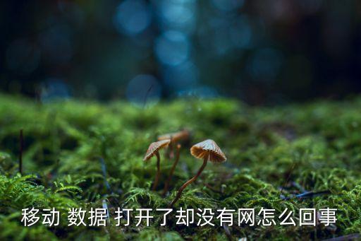 手機(jī)移動(dòng)數(shù)據(jù)打開(kāi)上不了網(wǎng),為什么移動(dòng)數(shù)據(jù)開(kāi)著卻不能用