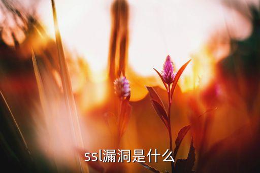ssl漏洞是什么