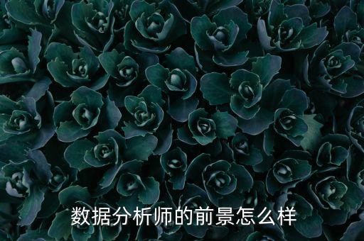 數(shù)據(jù)分析師的前景怎么樣