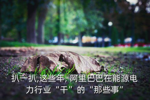 阿里巴巴 大數(shù)據(jù)平臺(tái)