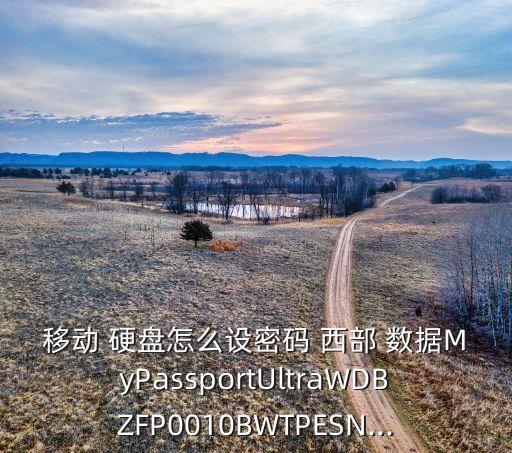 移動(dòng) 硬盤怎么設(shè)密碼 西部 數(shù)據(jù)MyPassportUltraWDBZFP0010BWTPESN...