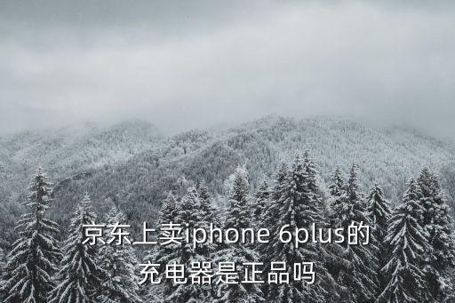 京東上賣iphone 6plus的充電器是正品嗎
