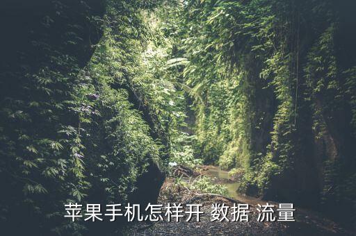  蘋果手機怎樣開 數(shù)據(jù) 流量
