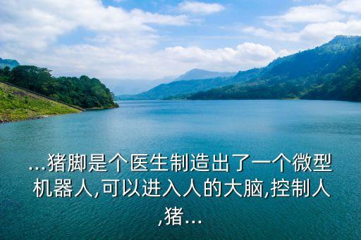 ...豬腳是個(gè)醫(yī)生制造出了一個(gè)微型 機(jī)器人,可以進(jìn)入人的大腦,控制人,豬...