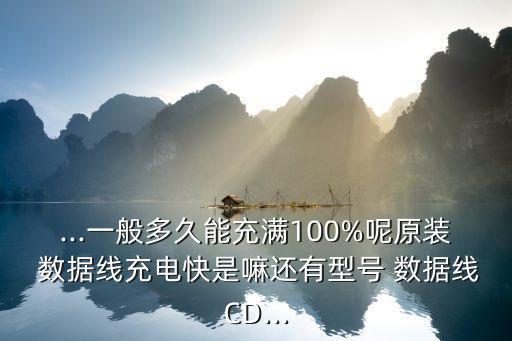 ...一般多久能充滿100%呢原裝 數(shù)據(jù)線充電快是嘛還有型號 數(shù)據(jù)線CD...