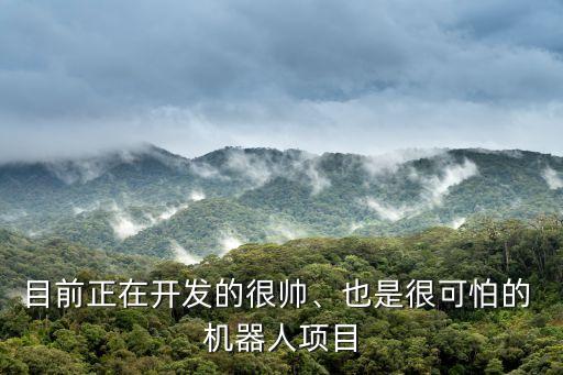 目前正在開發(fā)的很帥、也是很可怕的 機(jī)器人項(xiàng)目