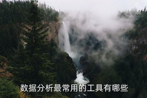  數(shù)據(jù)分析最常用的工具有哪些