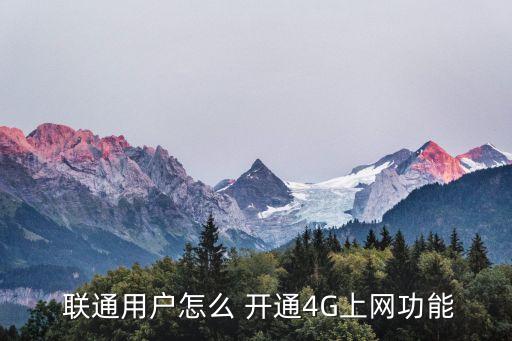  聯(lián)通用戶怎么 開(kāi)通4G上網(wǎng)功能